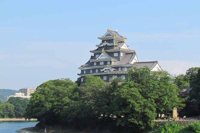 Okayama Half-Day Private Trip with Government-Licensed Guide - What Travelers Say