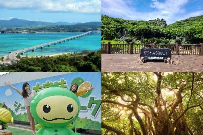 Okinawa Hip-hop Bus C Course Tour to Northern Island - Authentic Praise and Criticisms from Travelers