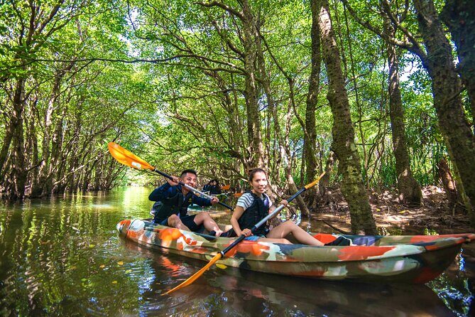 Okinawa Iriomote SUP or Canoe and Sightseeing in Yubujima island - Who Is This Tour Best For?
