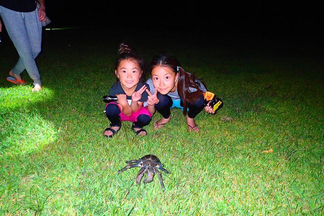 Okinawa Iriomotejima Night Adventure Tour - Exploring the Night Safari of Iriomote