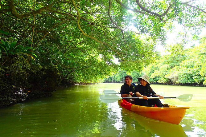 Okinawa Ishigaki Mangrove SUP or Canoe Tour - The Itinerary and Experience Breakdown