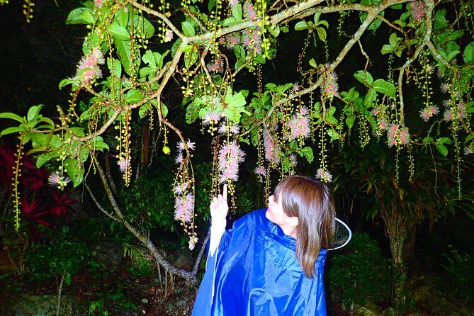 Okinawa Ishigaki Sagaribana Watching Tour June to August only - FAQ