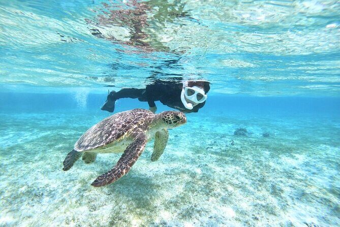 Okinawa Miyako Beach SUP or Canoe and sea turtle Snorkeling - Itinerary Breakdown and Detailed Insights