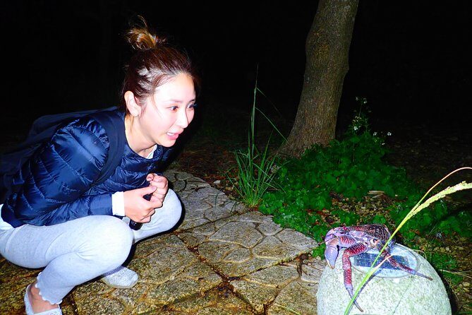 Okinawa Miyako Star gazing and subtropical jungle night tour - The Sum Up