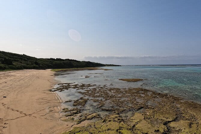 Okinawa's Gorgeous Beach & Snorkel Tour: Private & Customised - The Experience: What to Expect