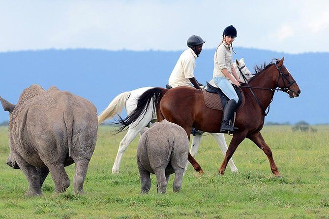Ol Pejeta Conservancy Day Tour from Nairobi - Authenticity & Traveler Feedback