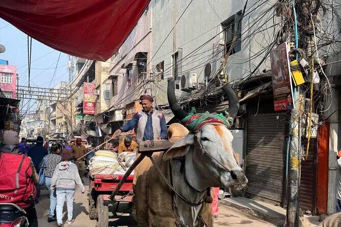 Old Delhi Heritage Food Walk - Authentic Food Tastings and Cultural Insights