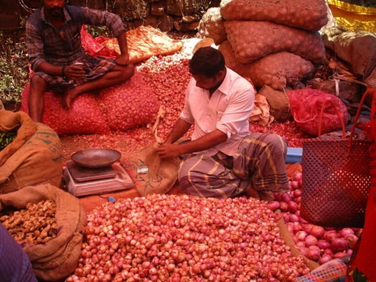Old Delhi: Private Half-Day Guided City Tour - Who is This Tour Best For?