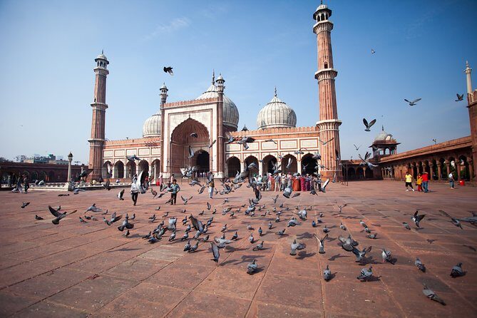 Old Delhi Street Food Tour Explore Spices in Chandni Chowk - Authentic Experiences and Local Insights
