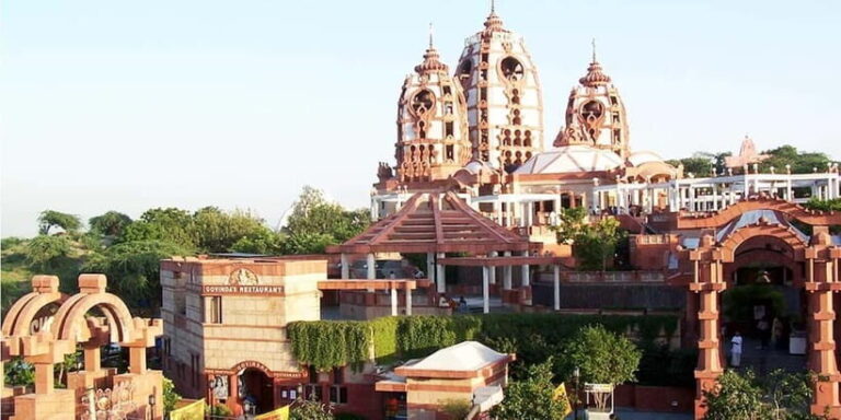 Old Delhi Temples and Spiritual Sites Private 6-Hour Tour - The Experience from Traveler Reviews