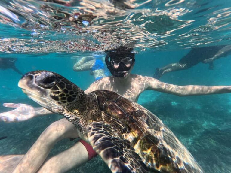 Oman Muscat: Snorkeling Adventure at Dimaniyat Islands - What Makes This Tour Special