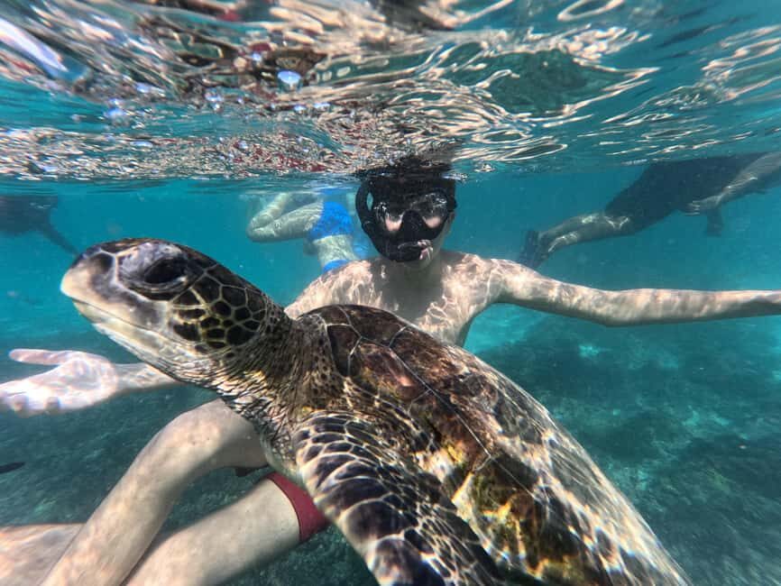 Oman Muscat: Snorkeling Adventure at Dimaniyat Islands - What Makes This Tour Special