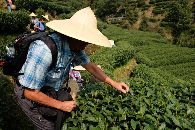 One-Day Hangzhou Dragon Well Tea Culture & West Lake Private Tour - Practical Considerations: What You Need to Know