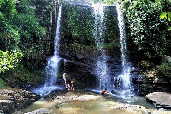 One Day Hiking and Elephant experience by Chiang Mai Elephant Home - Who Will Love This Tour?