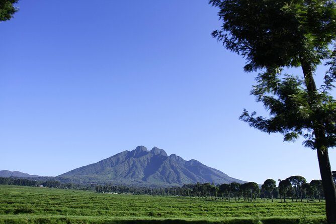 One Day Mount Bisoke Hike Adventure Tour in Volcanoes Park - What to Expect from the Experience