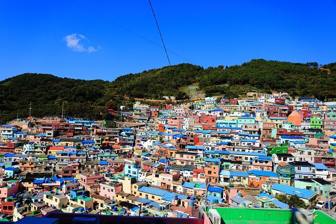 One Day Private Busan Tour with Local Tour Guide - Practical Details: What You Need to Know