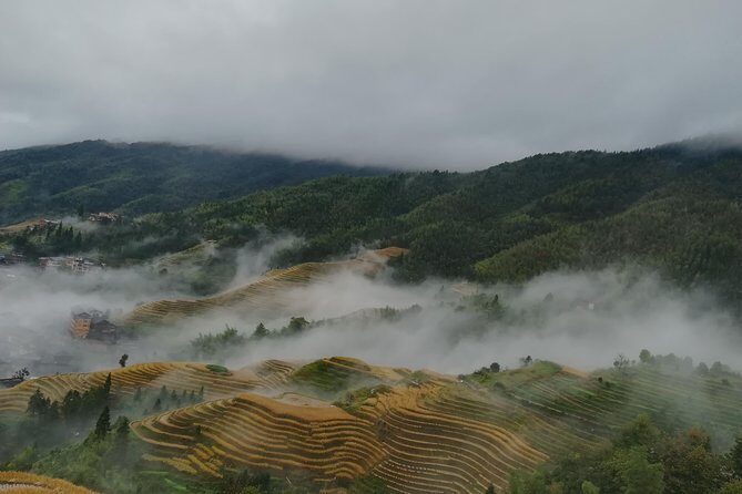 One Day Private Longji Rice Terraces with Minority village tour - Considerations and Tips