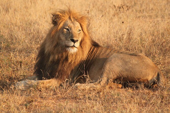 One day Safari including a 5 Hour Open Safari Vehicle Drive - What Makes This Tour Stand Out