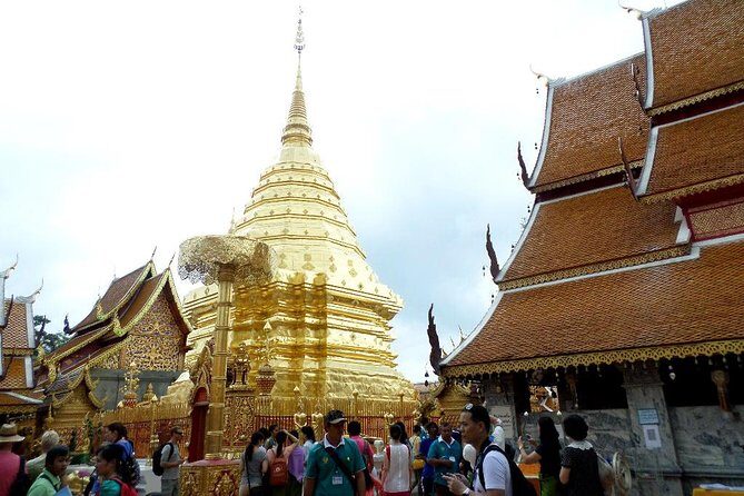One Day Tour Doi Suthep Temple, Palad Temple, Orchid Farm, Longneck hill tribe village (Private tour) - Why This Tour Is a Great Choice