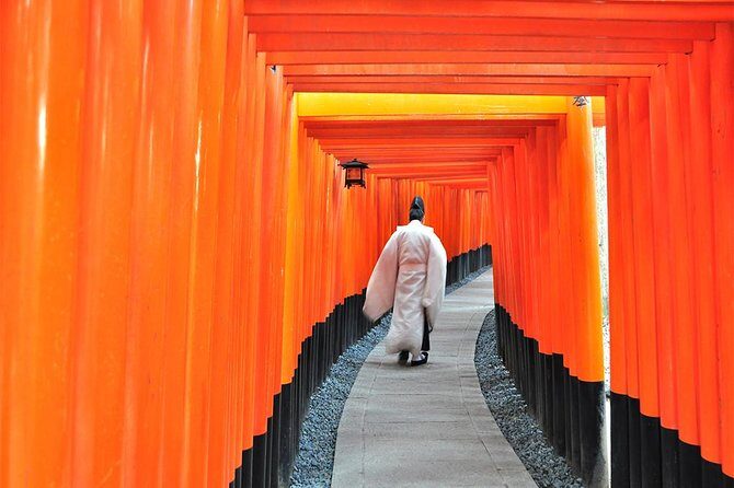 One-Day Tour of Kyoto's Highlights from Osaka/Kyoto - Detailed Review of the Tour Experience