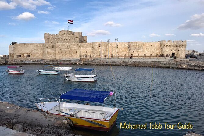One Day Tour To Alexandria - Experience Quality and Practicalities