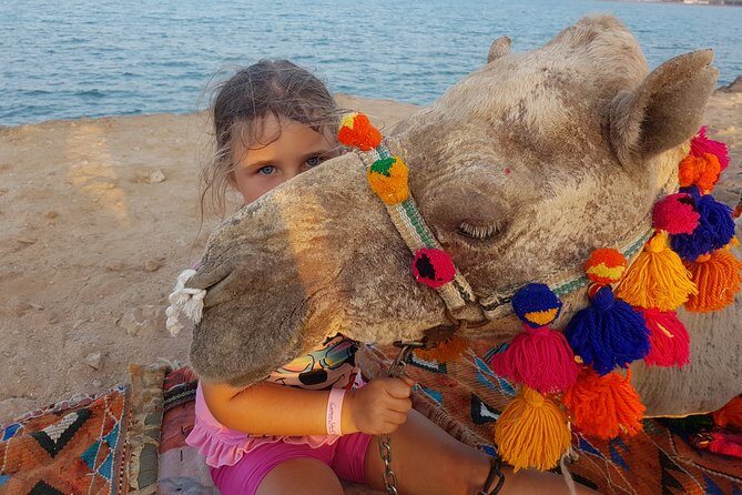 One hour Camel Ride At Amazing Marsa Alam Desert with transfer - Marsa Alam - Authenticity and Reviews from Past Travelers