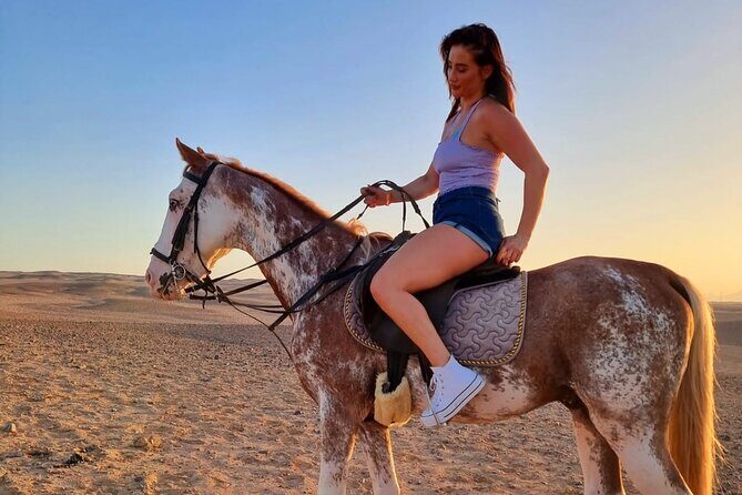One Hour Horse or Camel Riding with Transfer- Sharm El-Sheikh - The Ride Experience: A Closer Look