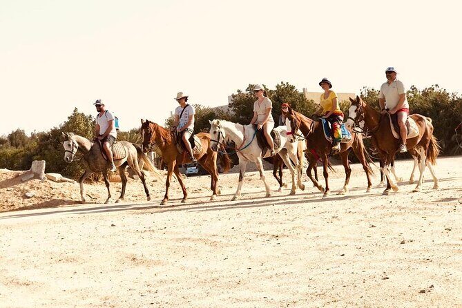 One Hour Horse Riding or Camel Riding At Amazing Desert in Hurghada - The Sum Up: Is This Tour Right for You?