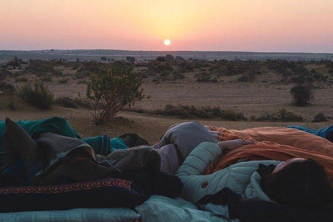 One Night One Day Desert Safari Tour - The Experience You Can Expect
