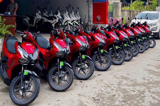 One way motorbike rental Phong Nha - Hue via Ho Chi Minh trails - Who This Tour Is Perfect For