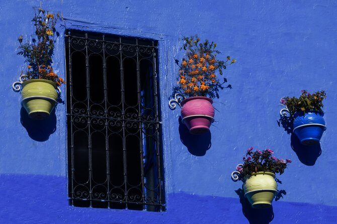 One Way Trip from Fes to Tangier via Chefchaouen - What Do Travelers Say?