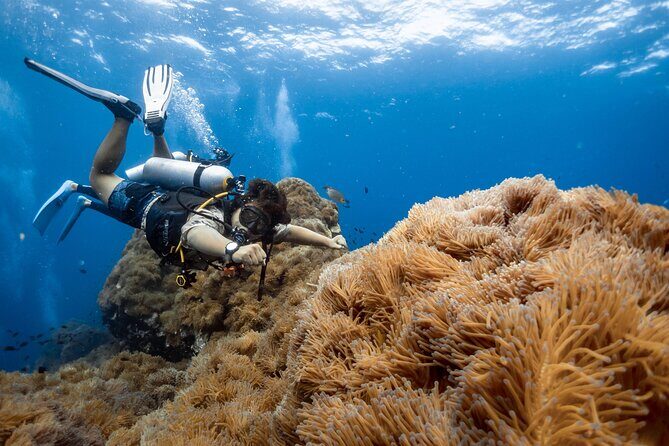 Open Water Course - Become certified diver in 3 days - What’s Included in the Course?
