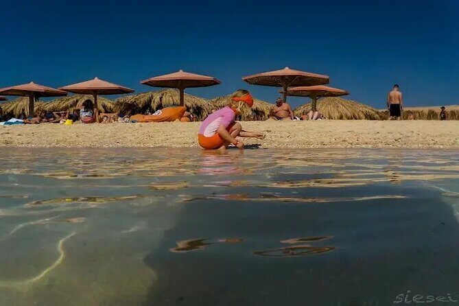 Orange Bay Island with Snorkeling, Lunch & Water Activities - What Travelers Love (and What to Consider)