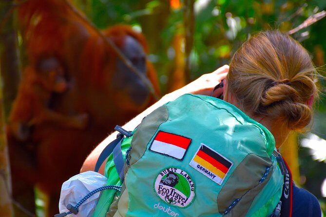 ORANGUTAN TREK (2D/1N) by EcoTravel Bukit Lawang - What About the Cost and Value?
