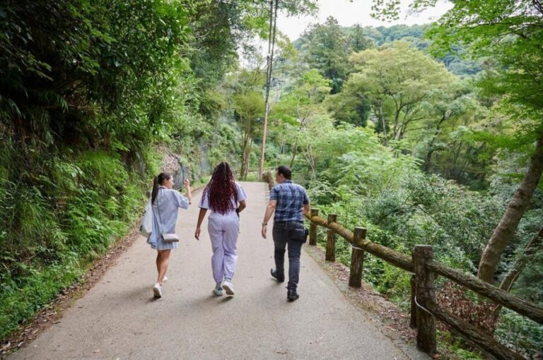 Osaka: 2.5-Hour Private Scenic Hike to Minoo Waterfall - The Itinerary Breakdown