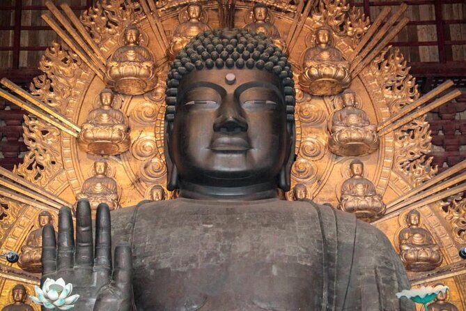 Osaka and Nara Day Tour with Private Transportation - Why This Tour Offers Great Value