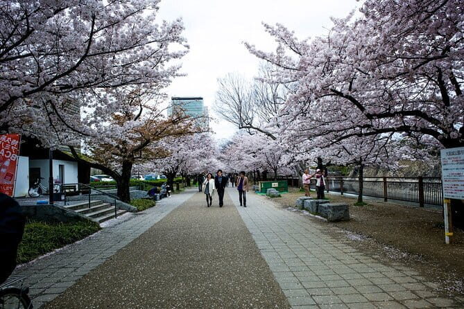 Osaka Castle 3 Hours Historical Walking Tour - What We Love About This Tour