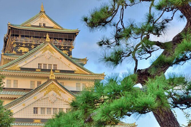 Osaka Castle Admission Ticket - Visitor Experiences and Feedback