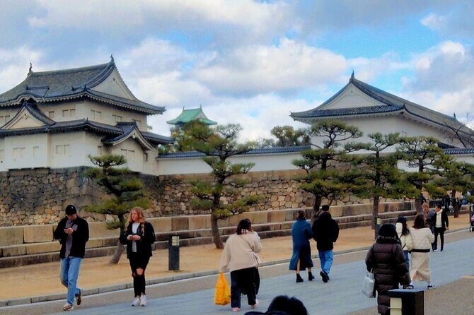 Osaka Castle & Temple Walking Tour with Multilingual Audio Guide - Who Should Consider This Tour?