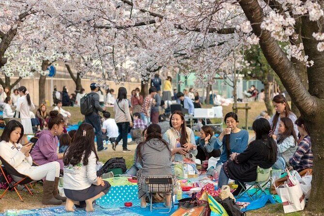 Osaka Cherry Blossom Tour with a Local: 100% Personalized Private - Who Will Love This Tour?