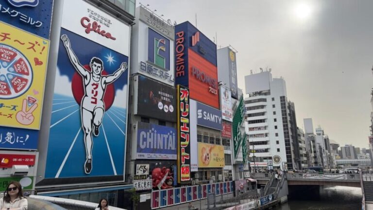 Osaka City Highlights One Day Private Tour - The Logistics: How It All Comes Together