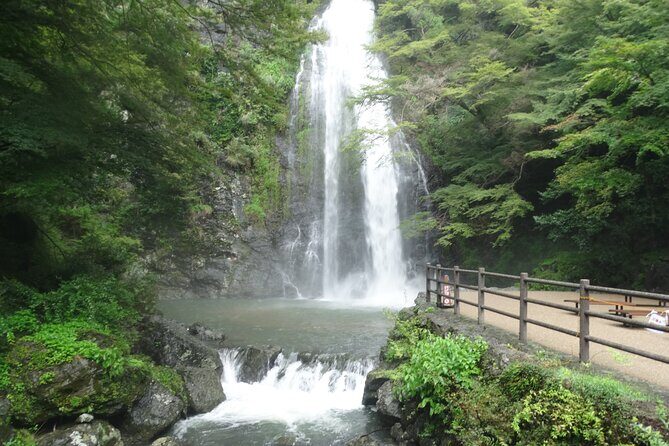 Osaka Half-day E-bike Tour: Minoh Falls, Katsuoji Temple w Lunch - In-depth Breakdown of the Itinerary