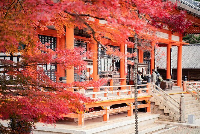 Osaka Half Day Walking Tour with an Expert Local Guide - A Closer Look at the Osaka Half-Day Walking Tour