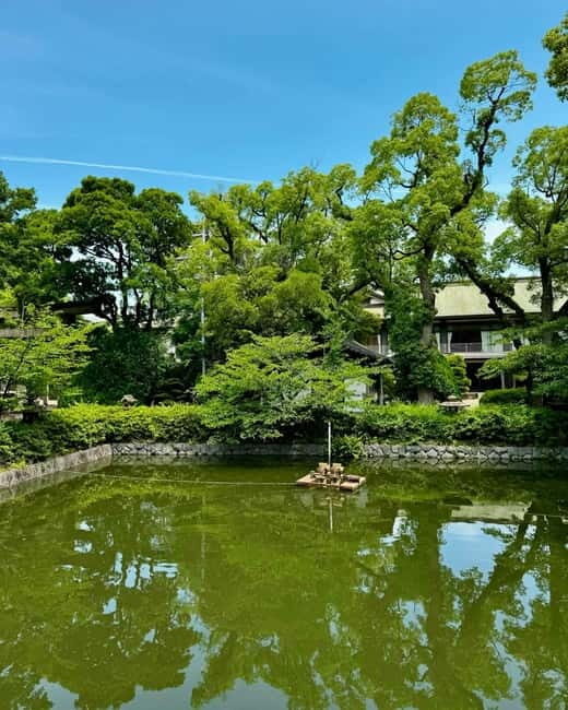Osaka: Private Tour with English speaking Guide and pickup - Itinerary Breakdown: A Deep Dive into Osaka’s Highlights