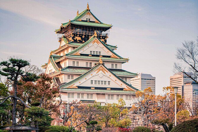 Osaka to Nara Park Private Day Trip with English Driver - Practical Considerations and Value