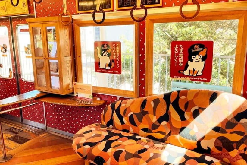 Osaka: Wakayama Cat Train, Seafood market, Hot Springs Tour - Why This Tour Is a Great Choice