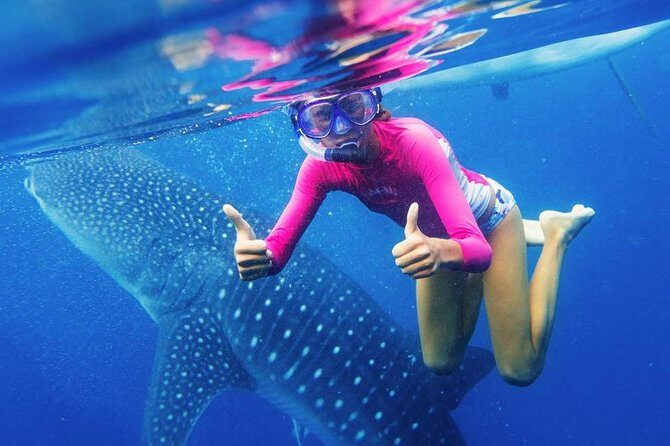 Oslob Whale Shark Swimming and Kawasan Falls Canyoneering - The Experience: Authenticity and Customer Feedback