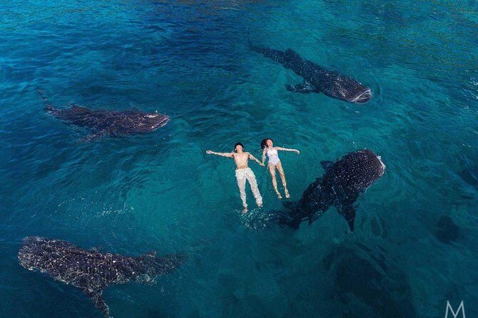 Oslob Whale Shark & Tumalog Falls & Kawasan Falls Canyoneering - What Makes This Tour Stand Out