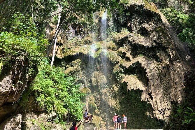 Oslob Whale Shark & Tumalog Waterfalls & Sumilon Sandbar - Detailed Itinerary Breakdown