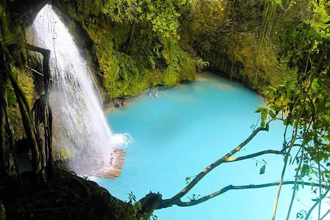 Oslob Whale Shark watching + Canyoneering Adventure Tour - Who Will Love This Tour?